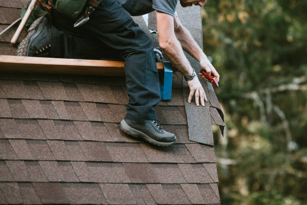 Best Roof Restoration Services  in Collinsville, VA